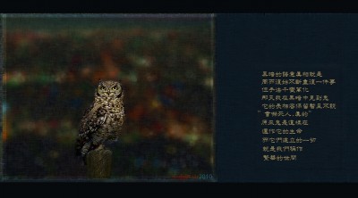 22588-13325_bak.jpg