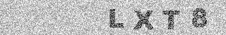 確認代碼