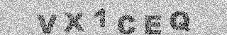 確認代碼