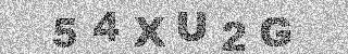 確認代碼