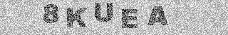 確認代碼